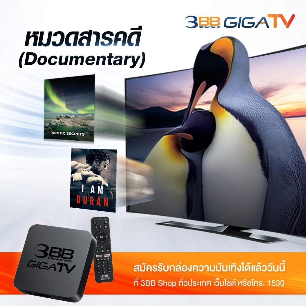 ติดเน็ต 3bb