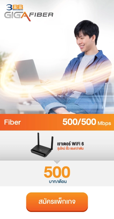 เน็ตบ้าน Fiber